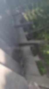 [原创]落地窗人妻和我东方文化园野战偷情放尿