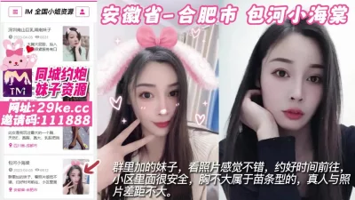 []【原创】安徽省-合肥市包河小海棠